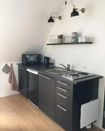 Apartman Elleholm A Odense